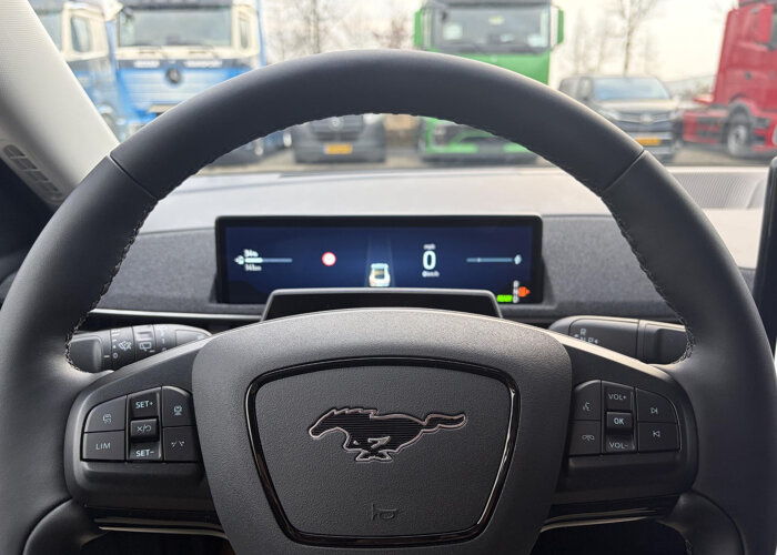Ford Mustang Mach-E Standard RWD 72,6 kWh