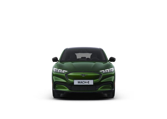 Ford Mustang Mach-E Mach-E Standard Range RWD (72,6 kWh)