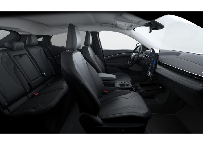 Ford Mustang Mach-E Mach-E Standard Range RWD (72,6 kWh)