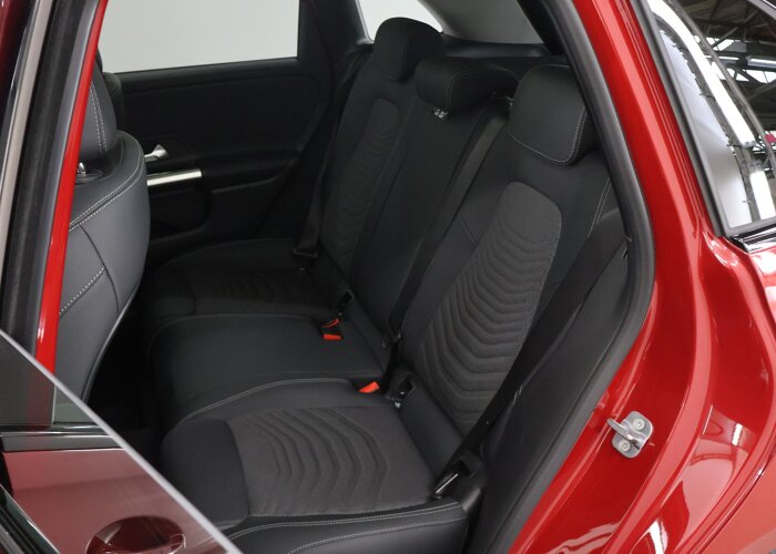 Mercedes-Benz B-Klasse 250 e Business Solution Luxury Night