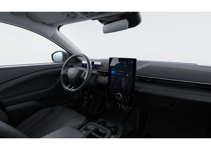 Ford Mustang Mach-E Mach-E Standard Range RWD (73 kWh)