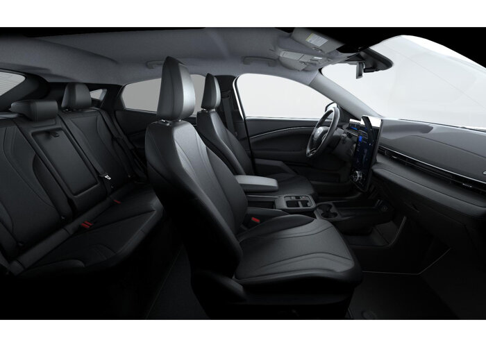 Ford Mustang Mach-E Mach-E Standard Range RWD (73 kWh)