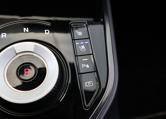 Kia Niro EV ExecutiveLine 64.8 kWh