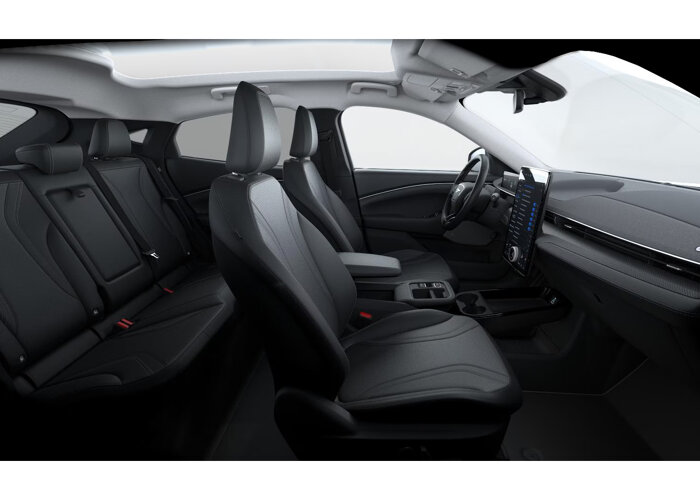Ford Mustang Mach-E Mach-E Standard Range RWD (72,6 kWh)