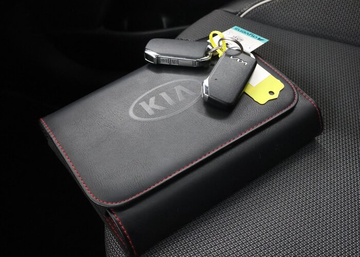 Kia e-Niro DynamicPlusLine 64 kWh