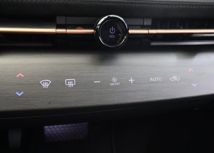 Nissan ARIYA Trend Plus 91 kWh