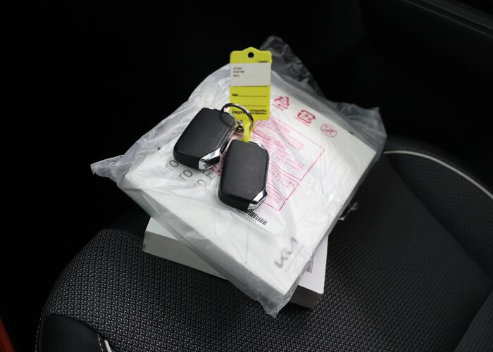 Kia e-Niro DynamicLine 64 kWh