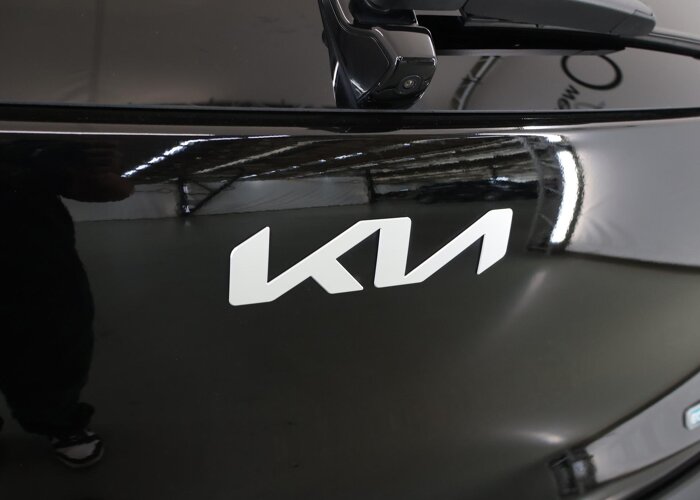 Kia e-Niro DynamicPlusLine 64 kWh