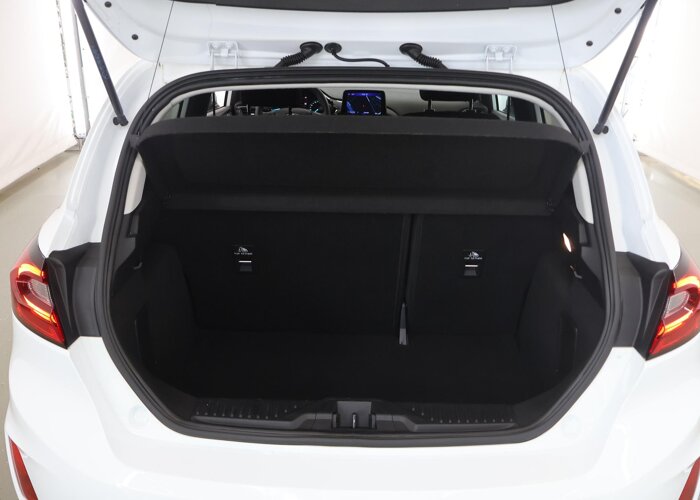 Ford Fiesta 1.0 EcoBoost Hybrid Titanium X