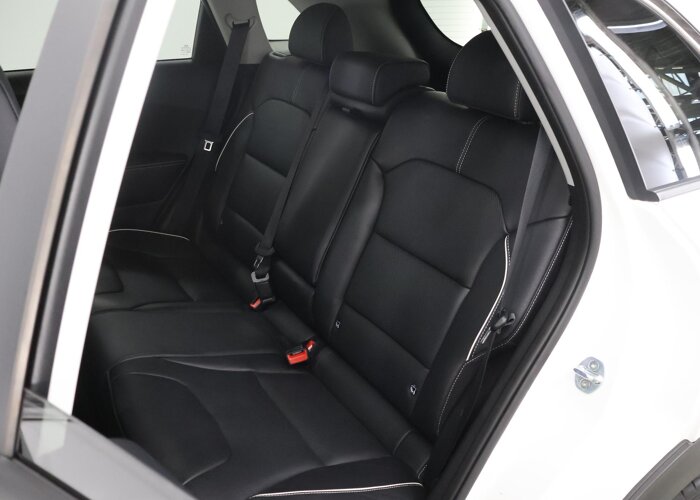 Kia e-Niro ExecutiveLine 64 kWh