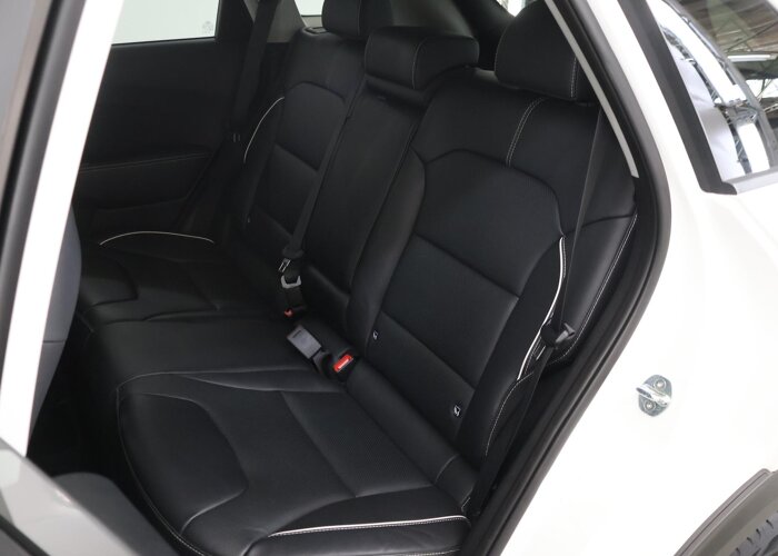 Kia e-Niro ExecutiveLine 64 kWh