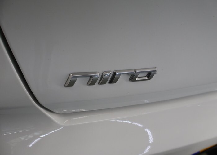 Kia e-Niro DynamicPlusLine 64 kWh