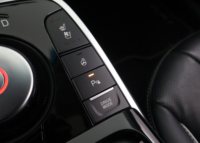 Kia e-Niro ExecutiveLine 64 kWh
