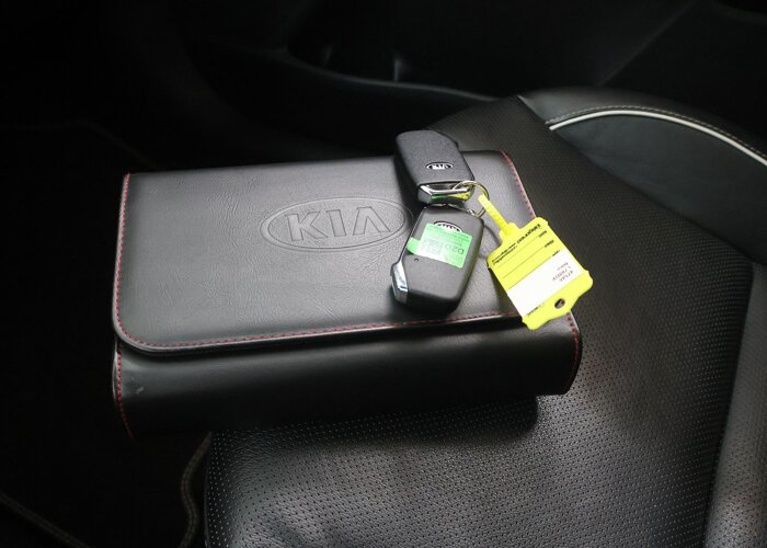 Kia e-Niro ExecutiveLine 64 kWh