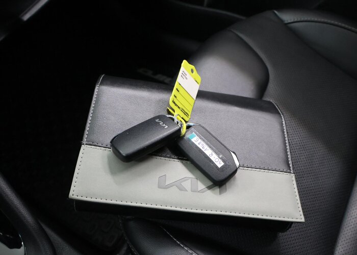 Kia Niro 1.6 GDi PHEV ExecutiveLine