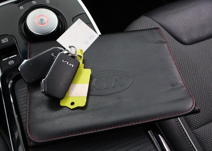 Kia e-Niro DynamicLine 64 kWh