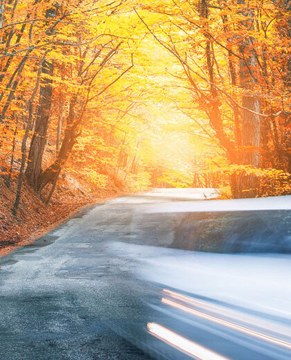 wensink-kennisbank-aangenaam-de-herfst-door-hero-mobiel