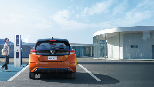 wensink-occasions-nissan-slider-leaf