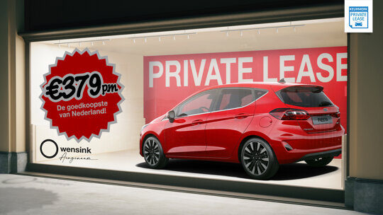 wensink-ford-fiesta-media1
