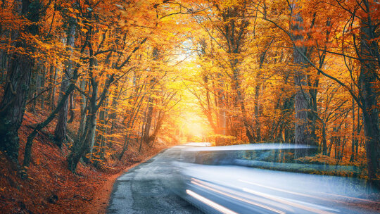 aangenaam-de-herfst-door-leadimage
