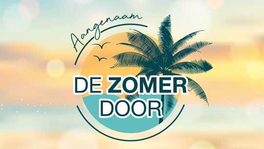 wensink-aangenaam-de-zomer-door-leadimage