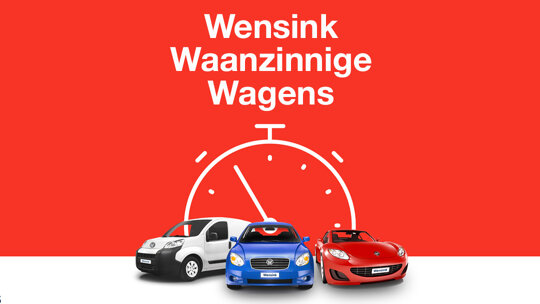 wensink-actie-www-banner