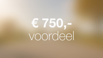 wensink-ford-voordeel-weken-750-voordeel