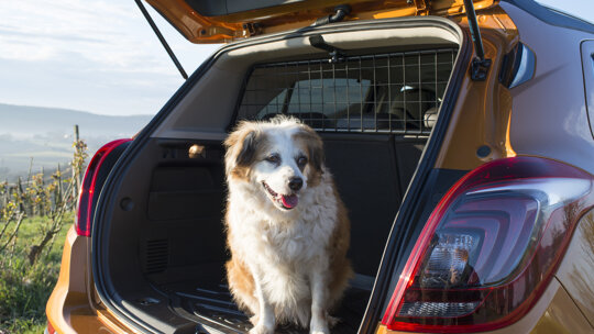 wensink-occasions-opel-slider-hond