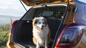 wensink-occasions-opel-slider-hond